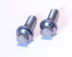 Fuel Pump Bolts